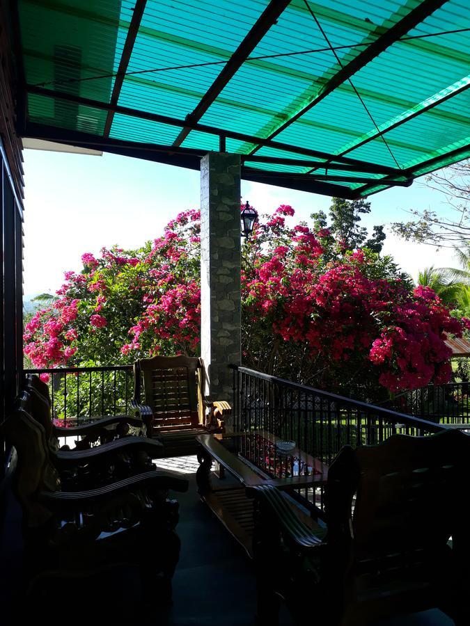 Villa Del Carmen Haven Bohol Екстериор снимка