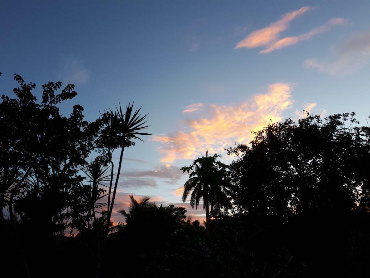 Villa Del Carmen Haven Bohol Екстериор снимка