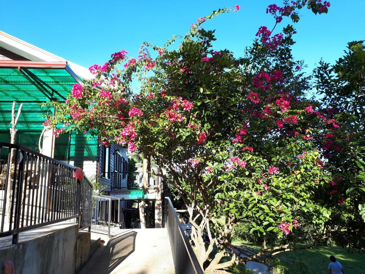Villa Del Carmen Haven Bohol Екстериор снимка