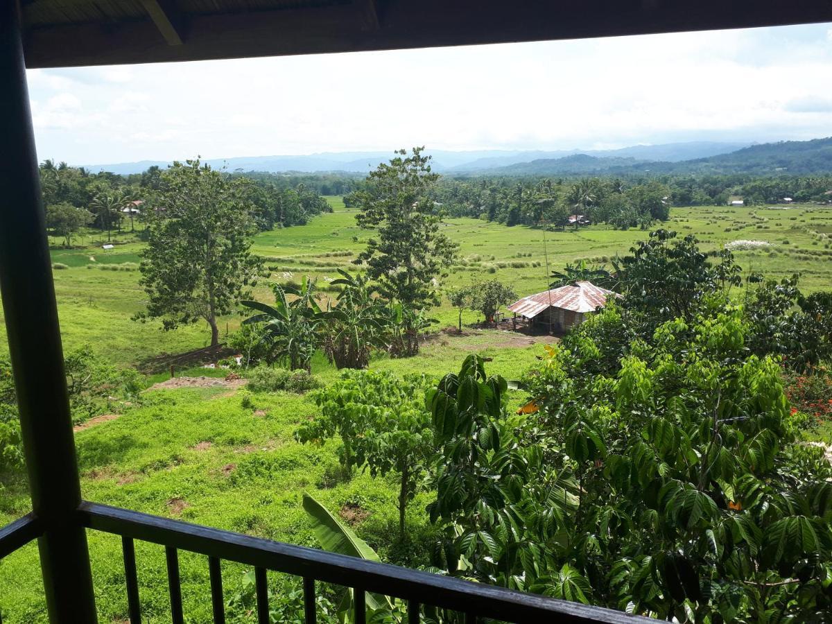 Villa Del Carmen Haven Bohol Екстериор снимка