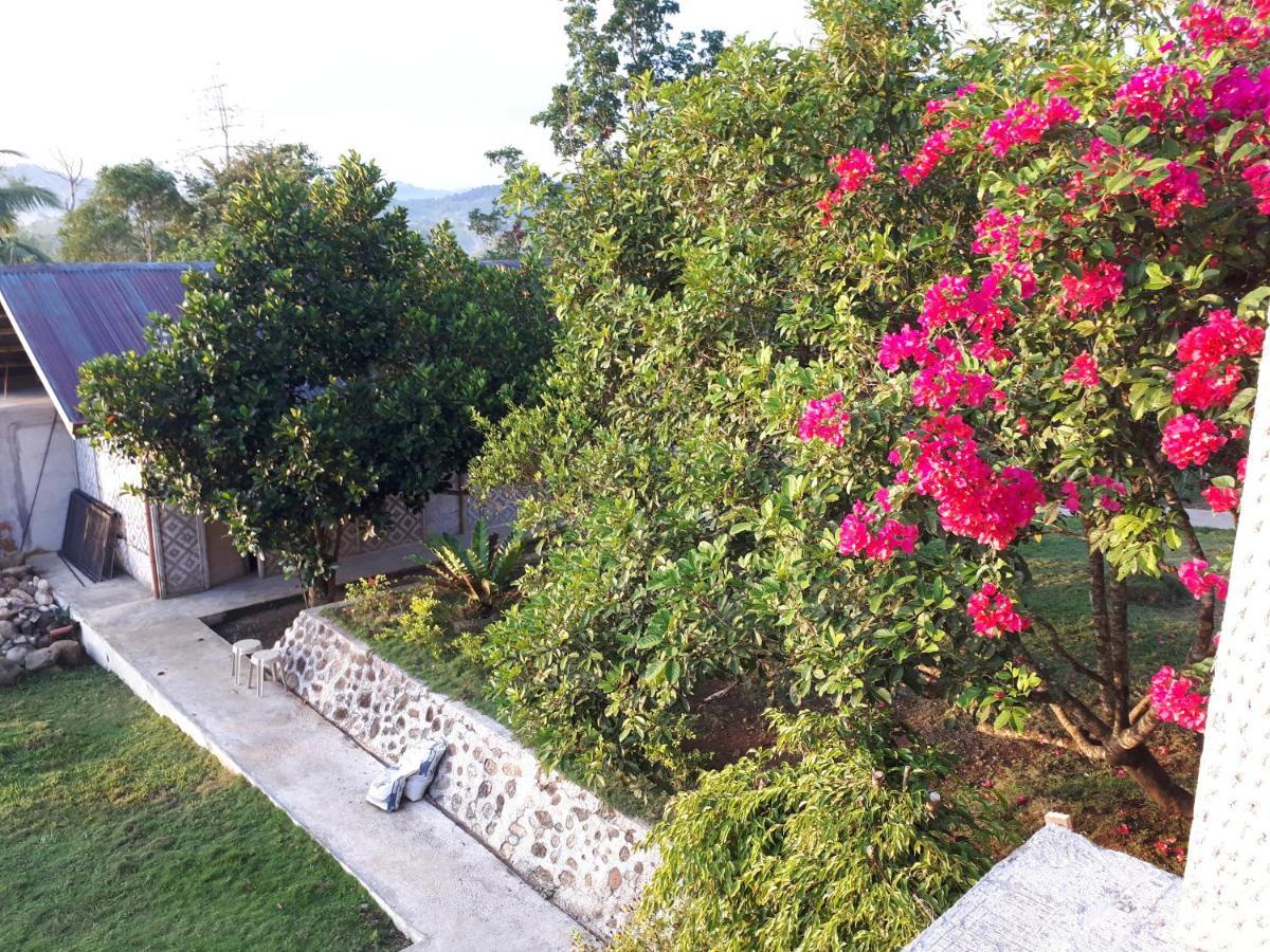Villa Del Carmen Haven Bohol Екстериор снимка