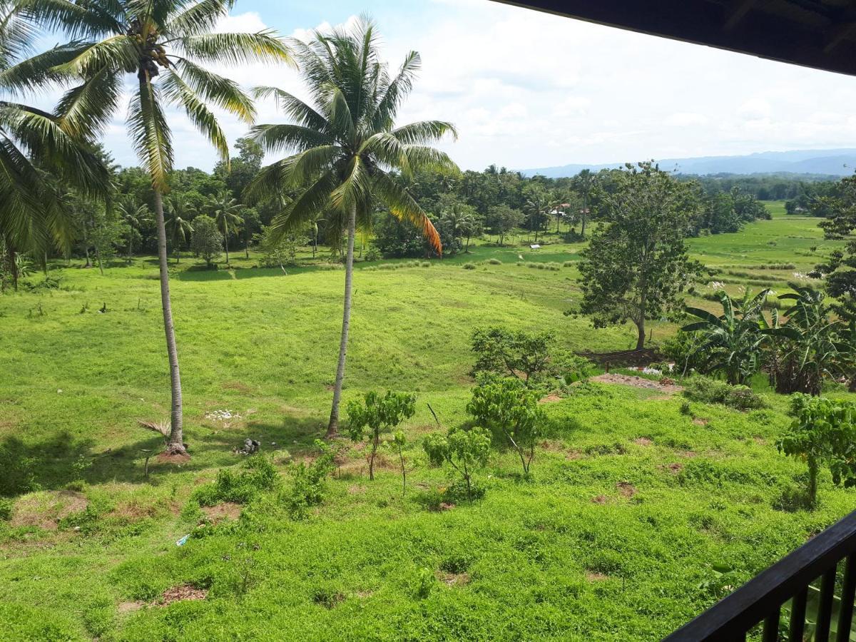 Villa Del Carmen Haven Bohol Екстериор снимка