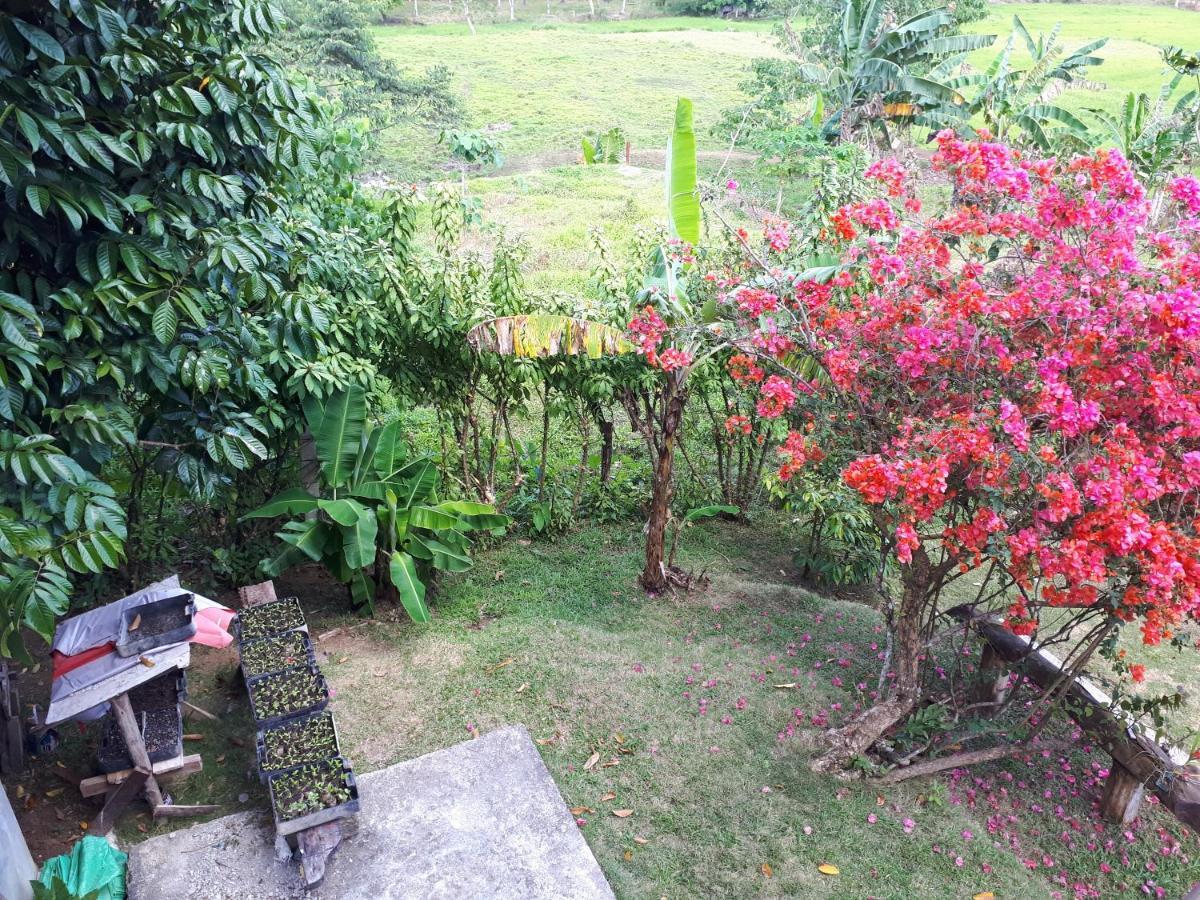 Villa Del Carmen Haven Bohol Екстериор снимка